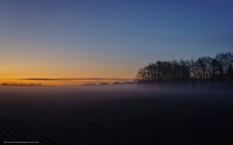 Foggy Field at Dawn