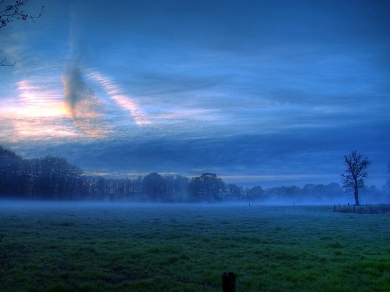 Foggy Field at Dawn — Blue, Serene, Morning, Photograph