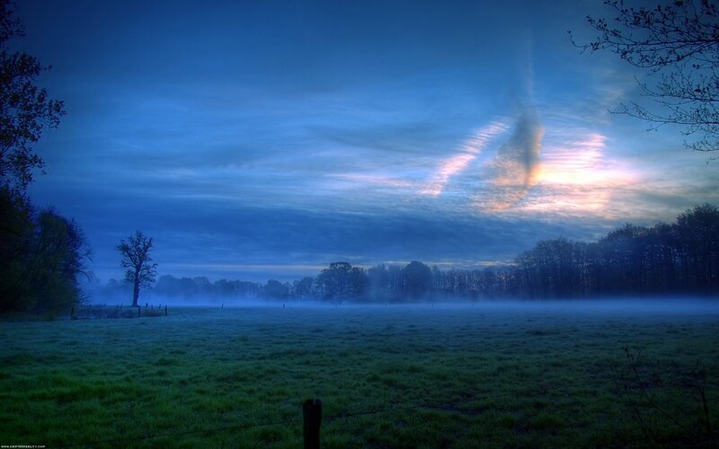 Foggy Field at Dawn — Blue, Serene, Morning
