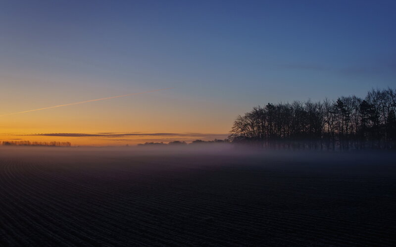 Foggy Field at Dawn — Blue, Serene, Photograph