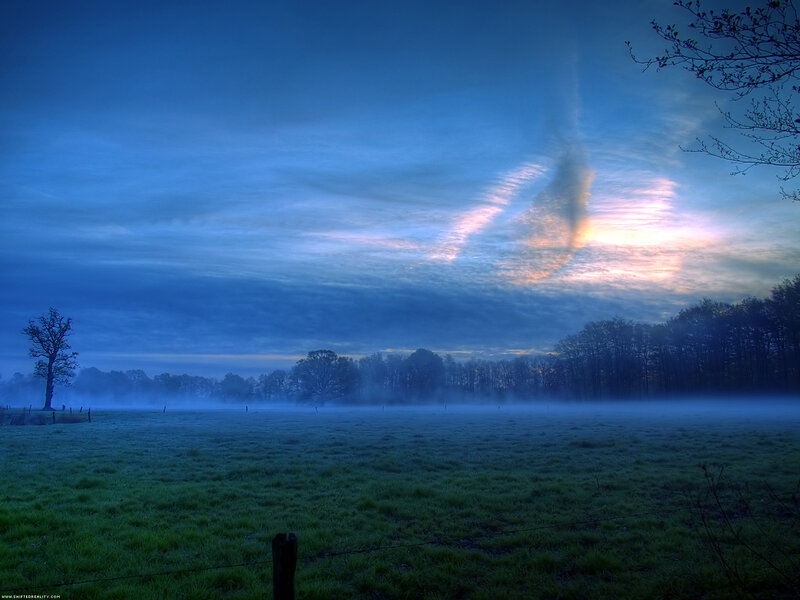 Foggy Field at Dawn — Blue, Serene