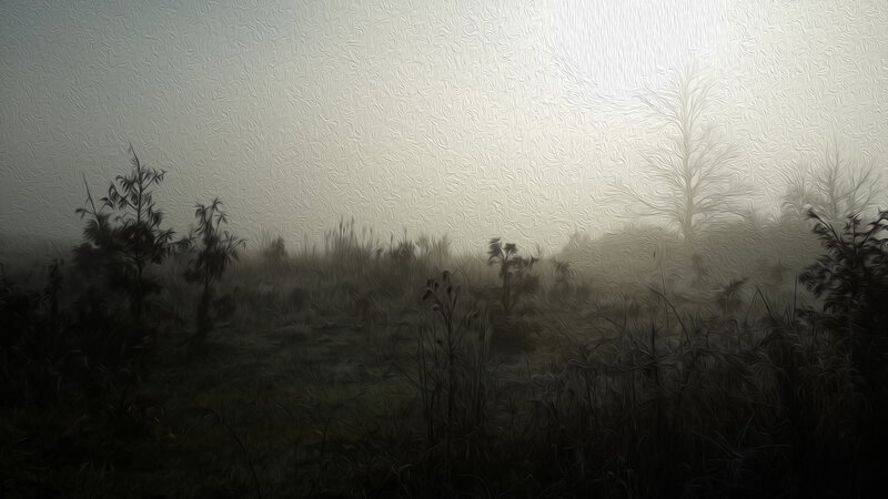 Foggy Field at Dawn — Gray, Misty, Morning, Digital Art