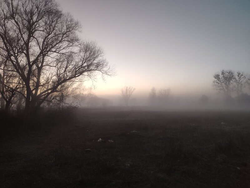 Foggy Field at Dawn — Gray, Misty, Morning, Photograph