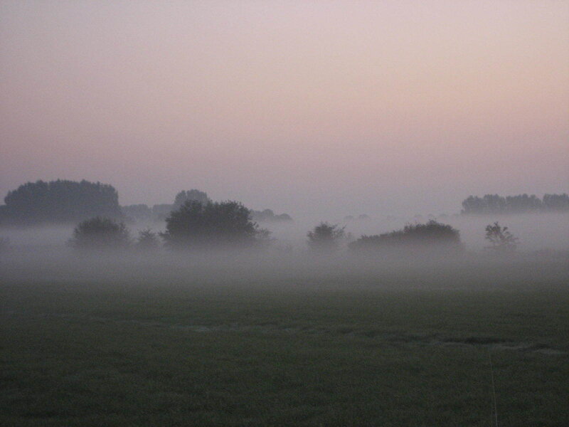 Foggy Field at Dawn — Gray, Misty