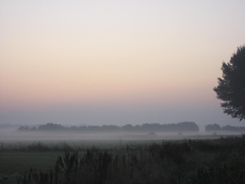 Foggy Field at Dawn — Gray, Serene