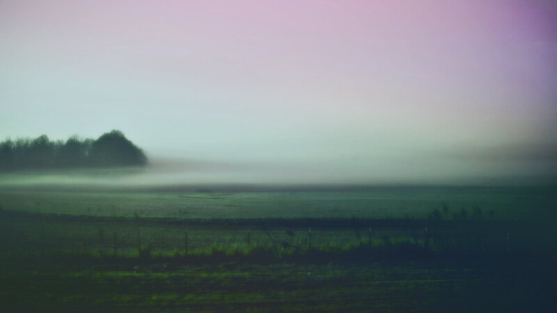 Foggy Field at Dawn — Green, Misty