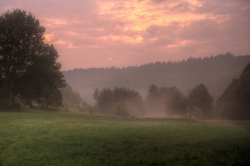 Foggy Field at Dawn — Green, Serene