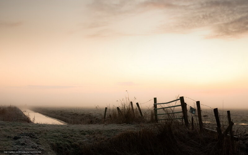 Foggy Field at Dawn — Pink, Serene