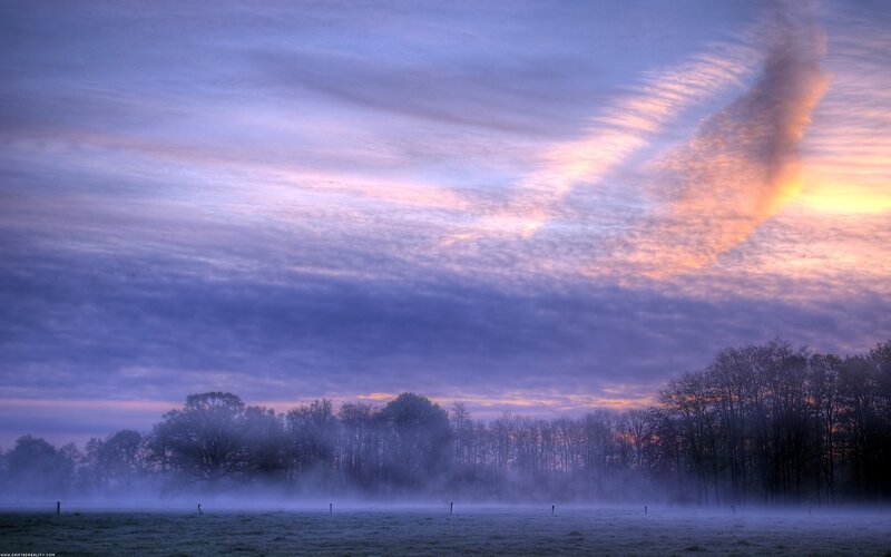 Foggy Field at Dawn — Purple, Serene, Photograph, Trees, Mist