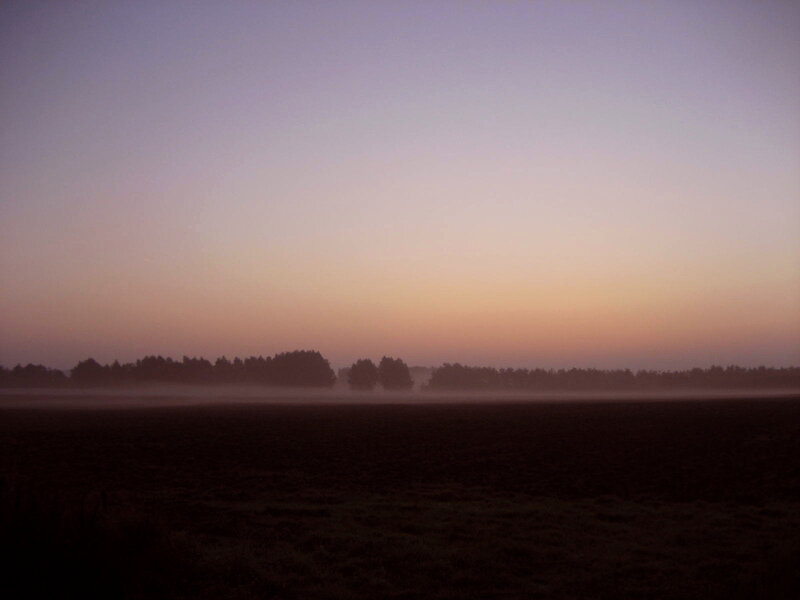 Foggy Field at Dawn — Purple, Serene, Photograph, Trees