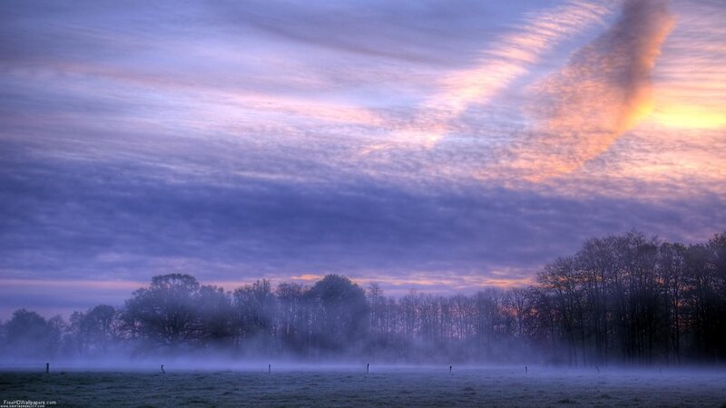 Foggy Field at Dawn — Purple, Serene