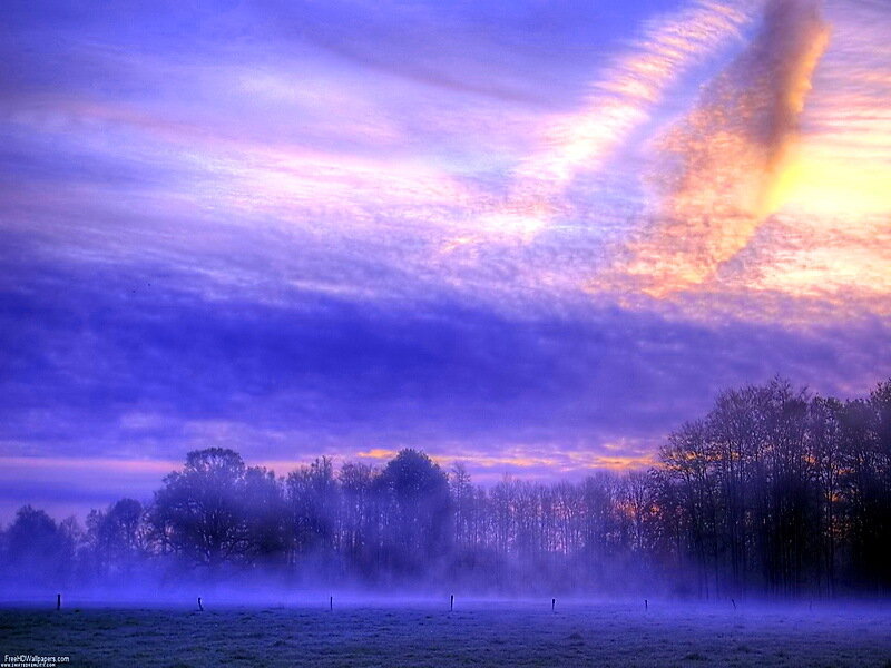 Foggy Field at Dawn — Purple