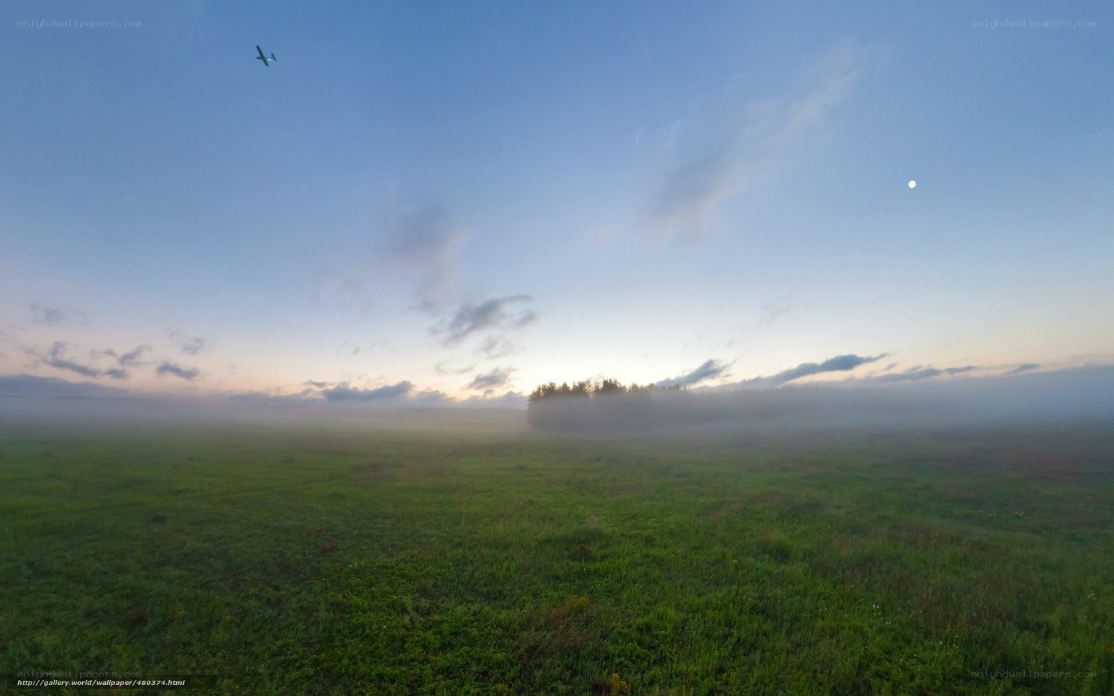 Foggy field at dawn with airplane