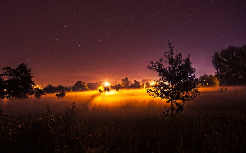 Foggy Field at Night