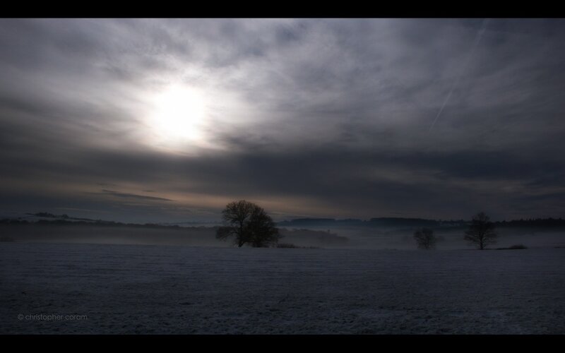 foggy field at sunrise