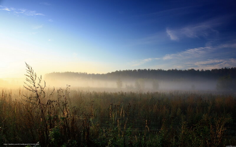 Foggy Field at Sunrise — Blue