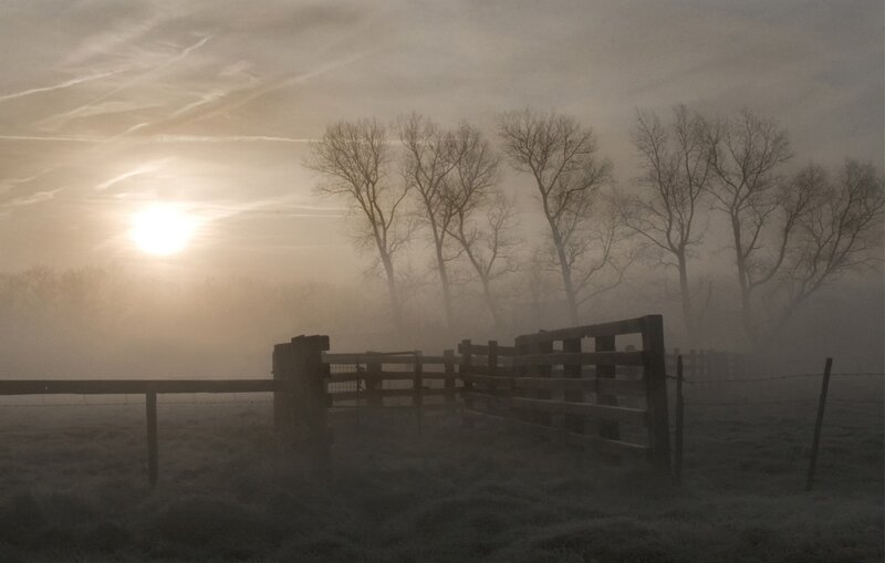 Foggy Field at Sunrise — Gray, Misty