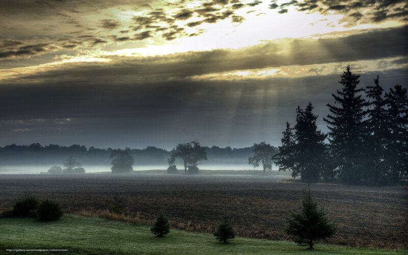 Foggy Field at Sunrise — Gray