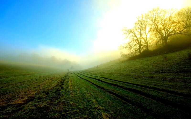 Foggy Field at Sunrise — Green