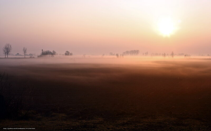 Foggy Field at Sunrise — Orange, Serene, Photograph, Sun