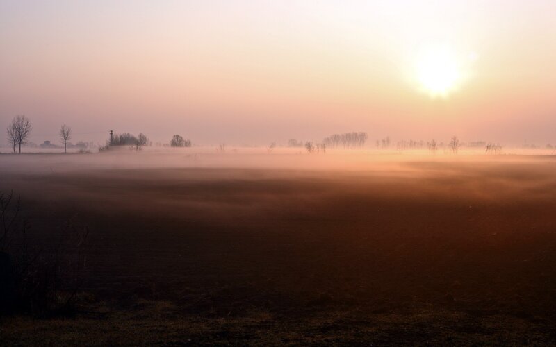 Foggy Field at Sunrise — Orange, Serene, Photograph, Sun, Trees