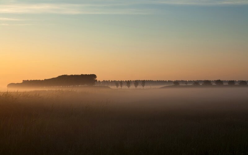 Foggy Field at Sunrise — Orange, Serene, Photograph, Trees, Sky, Blue