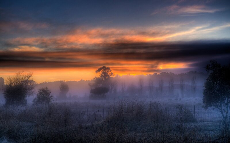 Foggy Field at Sunrise — Orange, Serene, Photograph, Trees, Sky, Fence