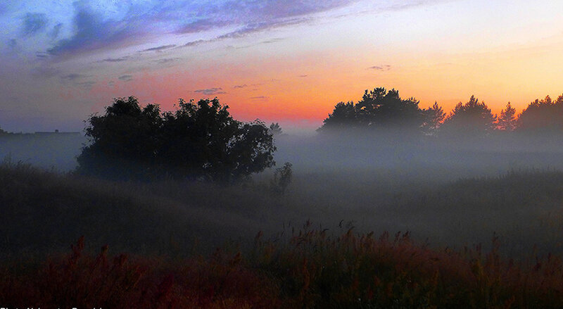 Foggy Field at Sunrise — Orange, Serene