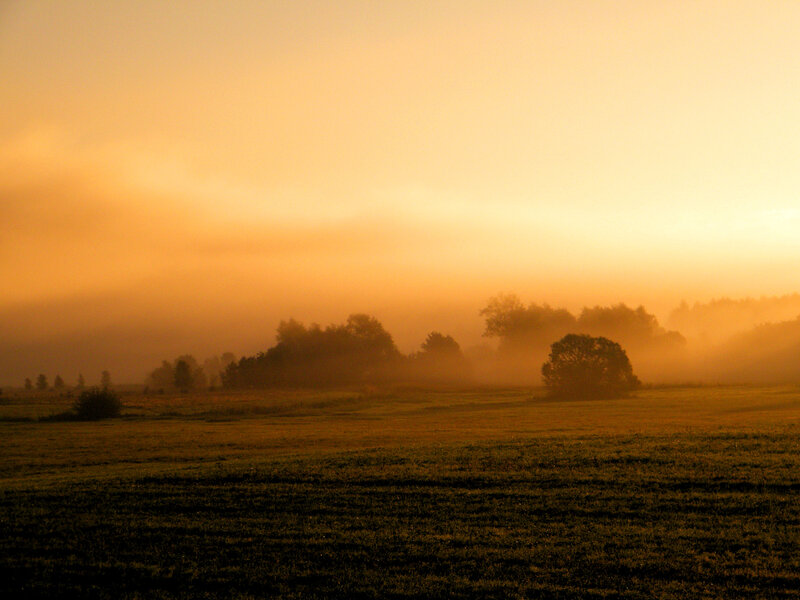 Foggy Field at Sunrise — Orange