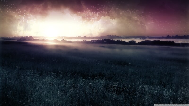 Foggy Field at Sunrise — Purple, Serene, Digital Art