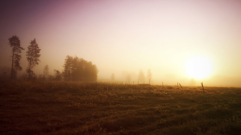 Foggy Field at Sunrise — Purple, Serene, Photograph, Sun
