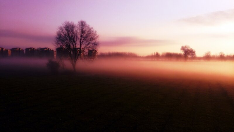 Foggy Field at Sunrise — Purple, Serene, Photograph