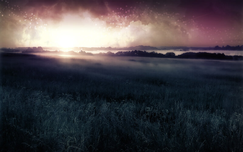 Foggy Field at Sunrise — Purple, Serene