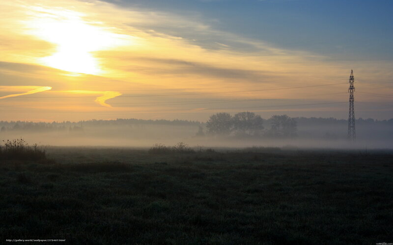 Foggy Field at Sunrise — Yellow, Serene, Morning