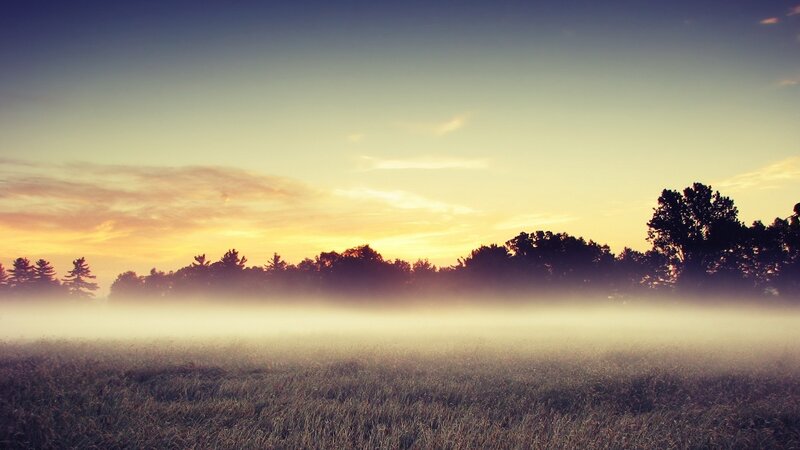 Foggy Field at Sunrise — Yellow, Serene, Photograph, Trees, Sky, Mist, Blue