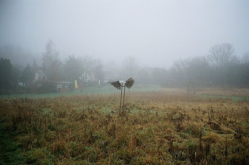Foggy field with bird sculpture