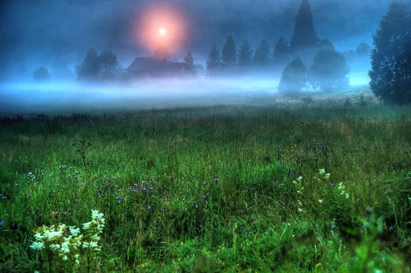 Foggy Field with Cabin — Green