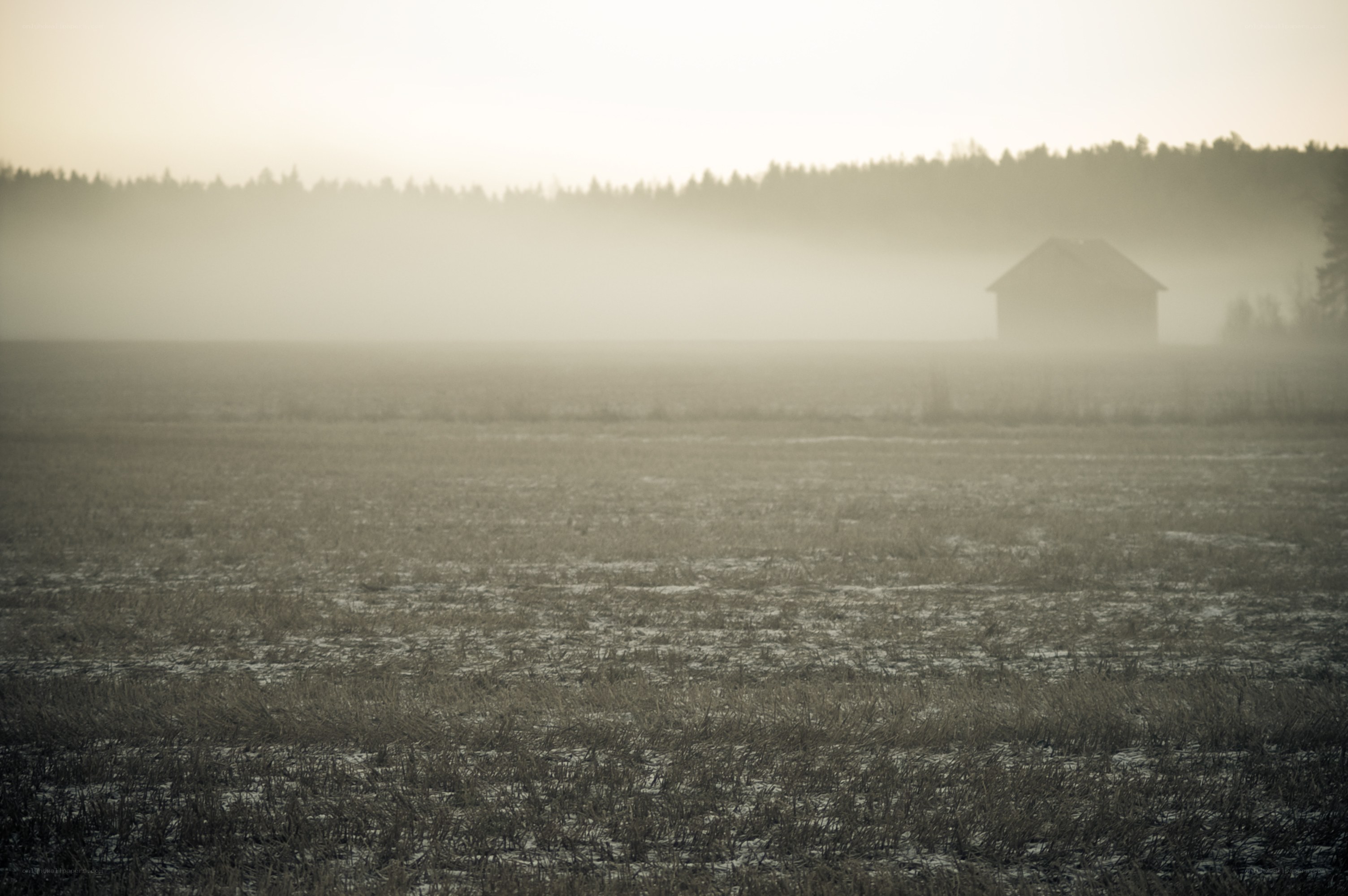 Foggy field with cabin