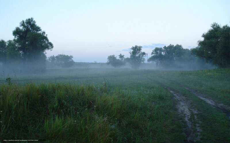 Foggy Field with Dirt Path