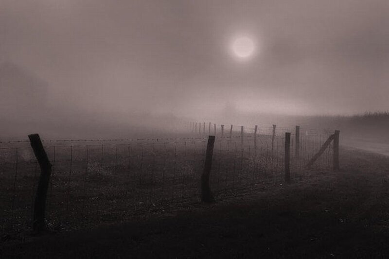 Foggy field with fence