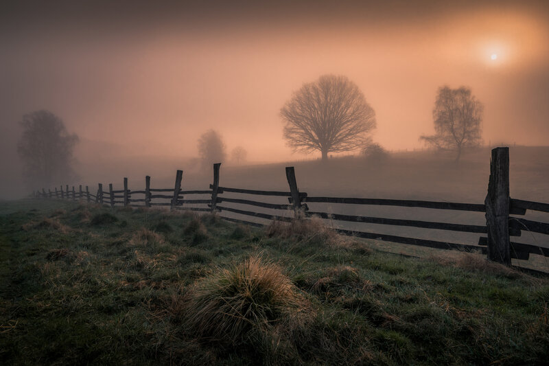 Foggy Field with Fence — Orange