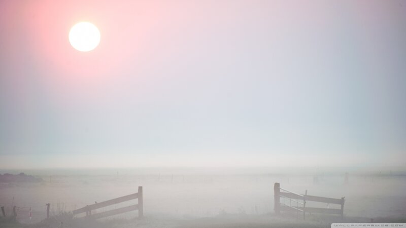 Foggy Field with Fence — Pink
