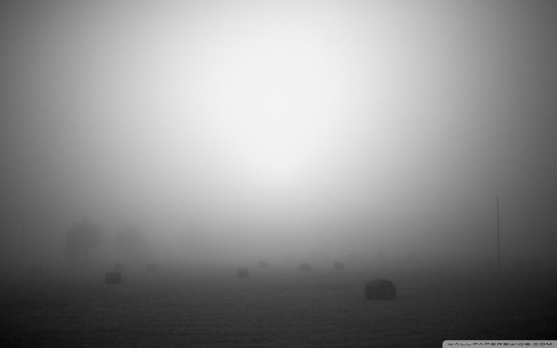 Foggy field with hay bales