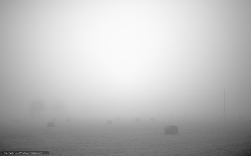 Foggy field with hay bales