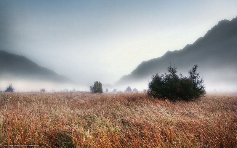 Foggy Field with Mountains — Brown, Misty
