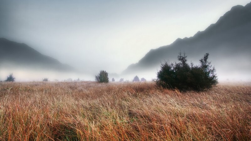 Foggy Field with Mountains
