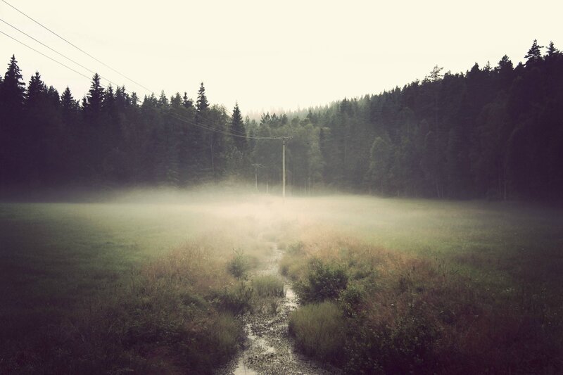 Foggy Field with Path