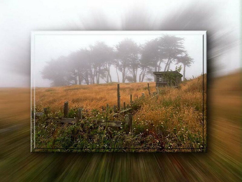 Foggy field with small shed
