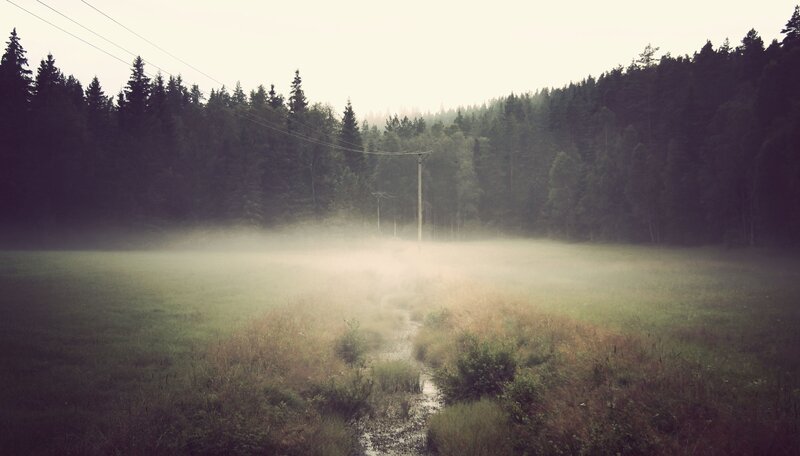 Foggy Field with Stream