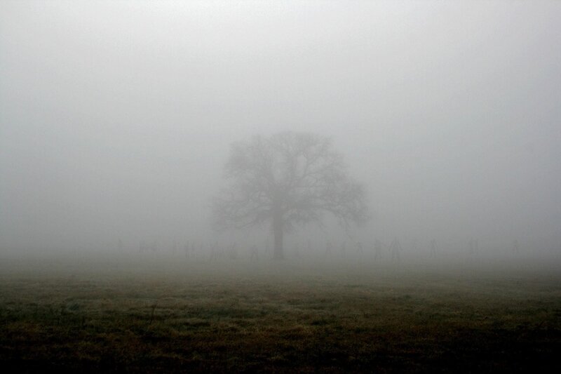 Foggy field with tree and figures